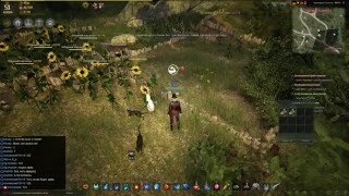 Black Desert P2P Волшебник Куда я пропал? pt1 Black Desert P2P Волшебник Куда я пропал? pt1