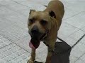 uri turbo apbt-esp