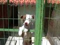 uri turbo apbt esp