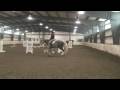 How to Train a Horse to Canter