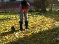 pomeranian puppie.mov