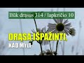 Pradžioje buvo Žodis
