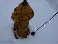 Rathdrum 2008 Record Snowfall