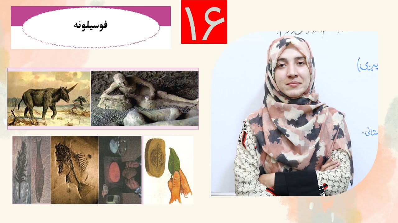 Class 6 - Science | Fossils - فسیل ها | فوسیلونه | Lesson 16