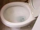 Toliet Bowl Drink