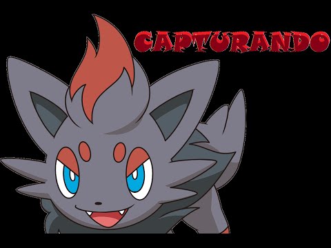 how to get zorua in pokemon y