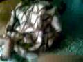 videos de la muerte de pinoxo