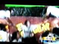 videos de Leonas en 