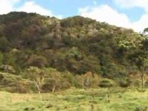Boquete Trail´s