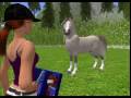 Hoof It Horse Avatar