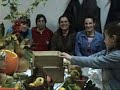 EFA Magusto 2008