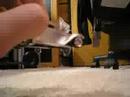 Stop Motion