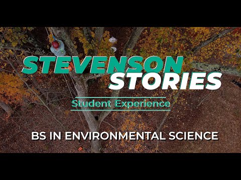 Stevenson Environmental Science: Life in the Trees