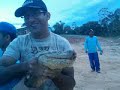 Cobra encontrada por operários da Construmil, enviado para o Blog do Anderson Pereira