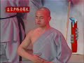 Shaolin kung fu - jin zhong zhao ()
