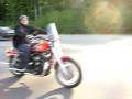 Harley 883 wheelie