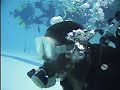First Time On Scuba