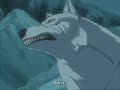chop suey- wolf\