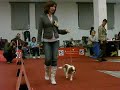 Lola first show
