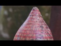 Neon Indian - 6669 (I Don't Know If You Know) OFFICIAL MUSIC VIDEO