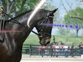 none of the photos are mine
i saw videos of the accident and wanted to make one too.
comment rank and subscibe
thank you

kara♥ziggy