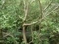 Bang Pu....Sapan sukta Bang Pu....Sapan sukta