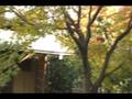 Autumn of Japanese Garden