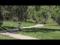 Click here to watch this video 5876 Park Lane Road, Gunbarrel, Colorado - Real Estate Video Tour by Stellar Properties