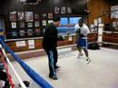 Jose Toledo and Shawn Mayweather
