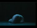 A music video for the awesome Classixx mix of Phoenix's 