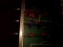 Fla Flu an hungria - hungarian table football Fla Flu an hungria - hungarian table football
