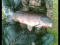 fishing video 2008