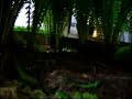 The Peaceful Gardens
