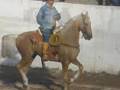 Fiestas Taurinas Juchitlan 2007