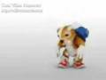 videos de Perrito.3gp