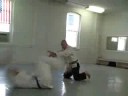 Aikido techniques 2