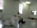 Aikido techniques 2