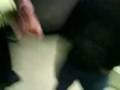 videos de U.G.C. episode 4