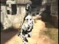 videos de Halo 3 Machinima Hardare and Software Test