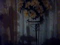 Bodas de P�rola - Cin�a e Altamir - 30/09/07