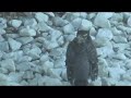 shots in and around my house.

song is from ferraby's first full-length album 