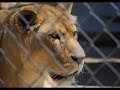 Shambala Wild Animal Preserve