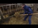 HEA: Bern op de soarchbuorkerij