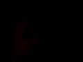 Book of Ra Vollbild