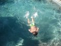 videos de My swimming Monkey