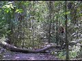 Video Clip de MTB en el circuito I.N.T.A. de Castelar