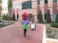 Truffles Chases Shnitzel