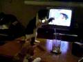Claudette vs. Straw