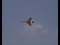 Bobcat Pusherprop Maracaibo Jet Blast 2007