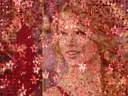 Tribute to Taylor Swift Tribute to Taylor Swift